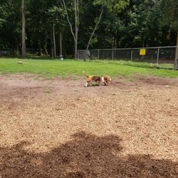 Wallingford Dog Park