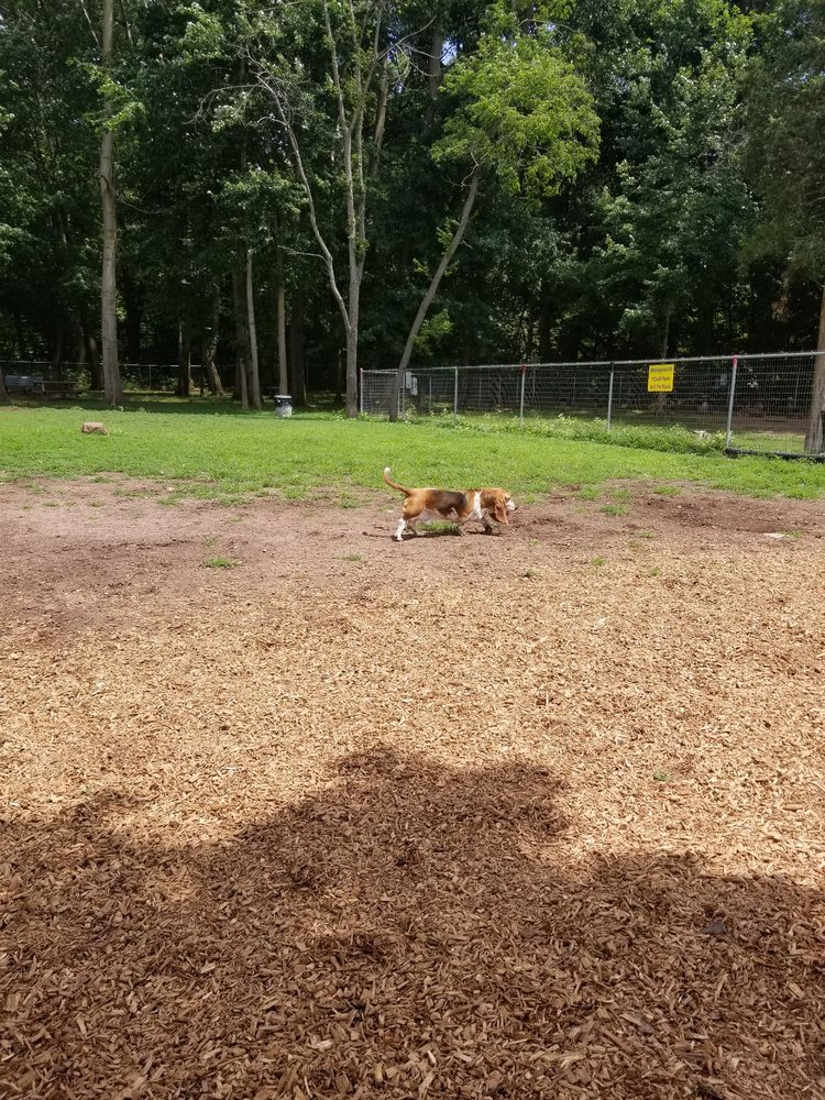 WALLINGFORD DOG PARK Updated September 2024 345 Quinnipiac St