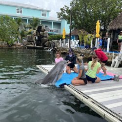 Island Dolphin Care - Beaching a dolphin