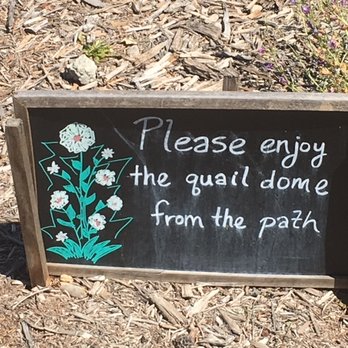 Stoneview Nature Center - There is a quail dome...  it's not nearly as dramatic as it sounds. - Community Centers Near Me - Culver City, California