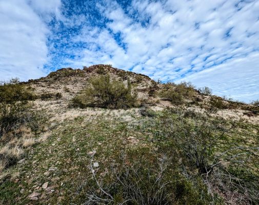 North Mountain Park by null