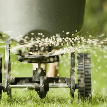 Thrive Landscapes - Photo - Landscaping Near Me