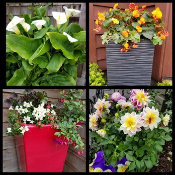 Cannon Beach - Colorful pots and flowers around town - Beaches Near Me Cannon Beach - Colorful pots and flowers around town - Beaches Near Me