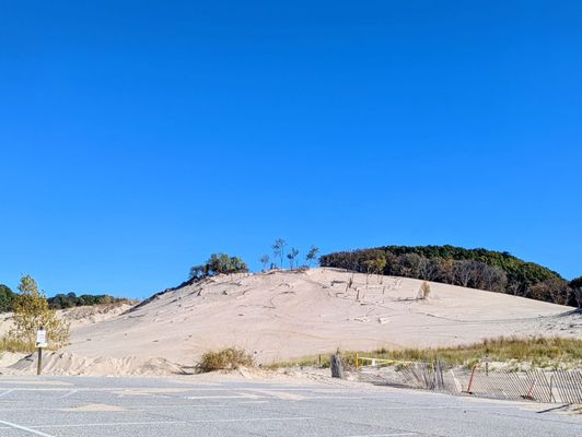 Warren Dunes State Park by null