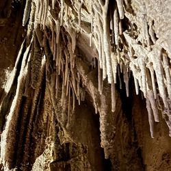 Lehman Caves - On the 30 minute Gothic Palace Your, you'll confront stalagmites and stalagtites.