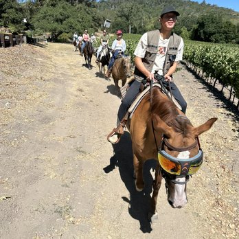 Sonoma Valley Trail Rides - Horseback Riding Near Me - Sonoma, California Sonoma Valley Trail Rides - Horseback Riding Near Me - Sonoma, California