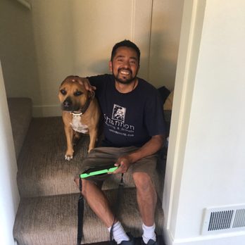 Shannon Moving & Storage - Vicente moved me and made a new best friend. Thank you for making move day so fun! - Movers Near Me - San Francisco, California Shannon Moving & Storage - Vicente moved me and made a new best friend. Thank you for making move day so fun! - Movers Near Me - San Francisco, California