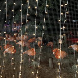 Montgomery Zoo