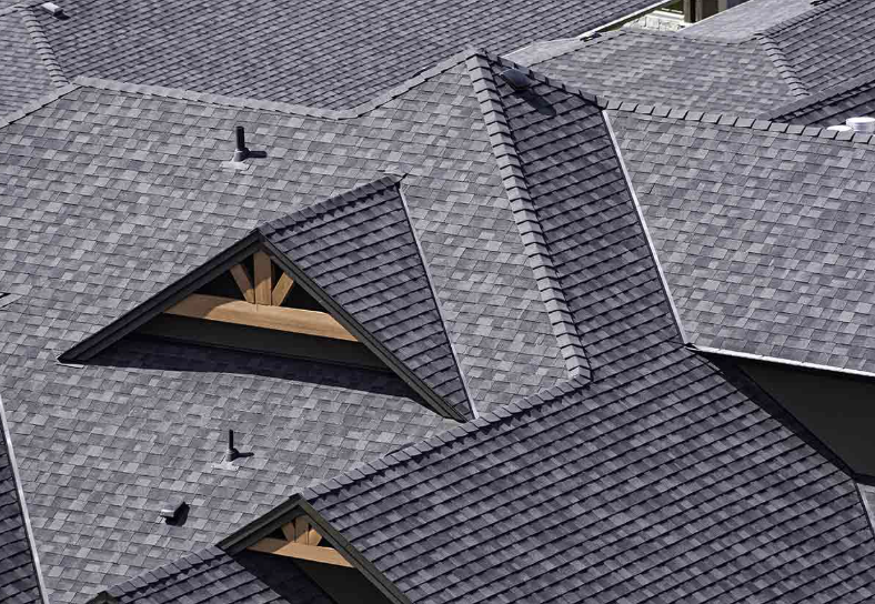 Slide of New Shingles