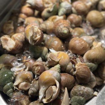Newark Buffet - Sea Snails - Buffets Near Me - Newark, California Newark Buffet - Sea Snails - Buffets Near Me - Newark, California