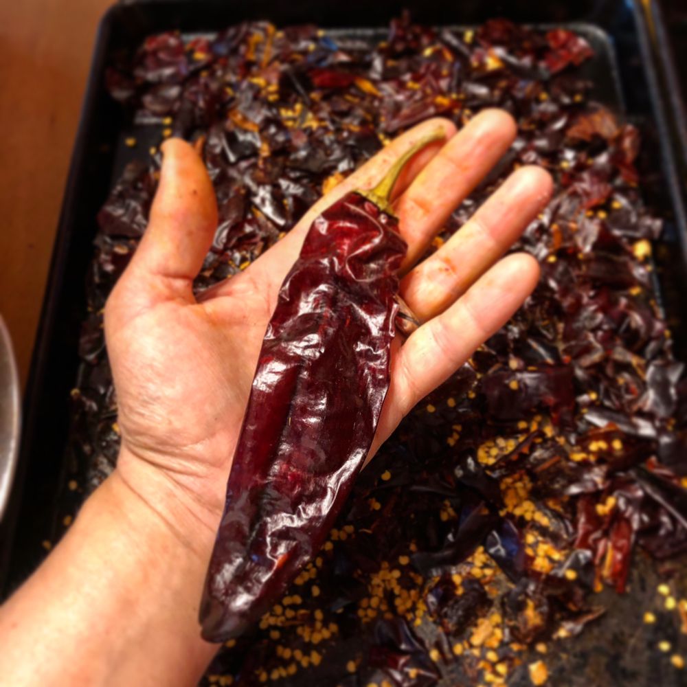 CHILE COLORADO Updated March 2024 29 Photos 47 Tracy Dr