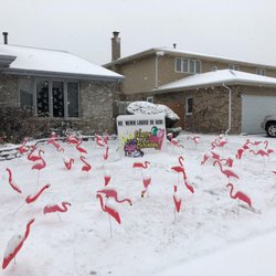 Sunshine Lawn Signs
