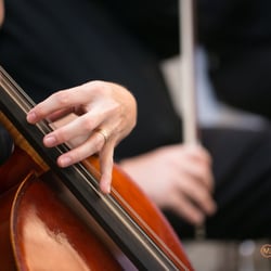 Musical Discovery Chamber Players - Photo Credit:  Matthew Johnson Photography