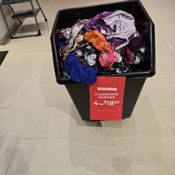 Lane Bryant