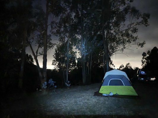 Anthony Chabot Regional Park by null