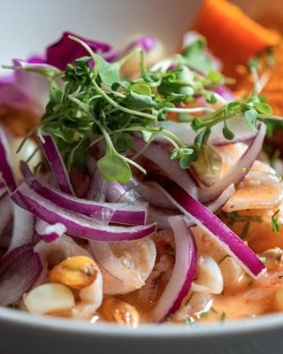 305 Peruvian Modern Cuisine by null