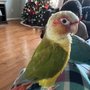 Long Island Bird & Exotics Veterinary Clinic