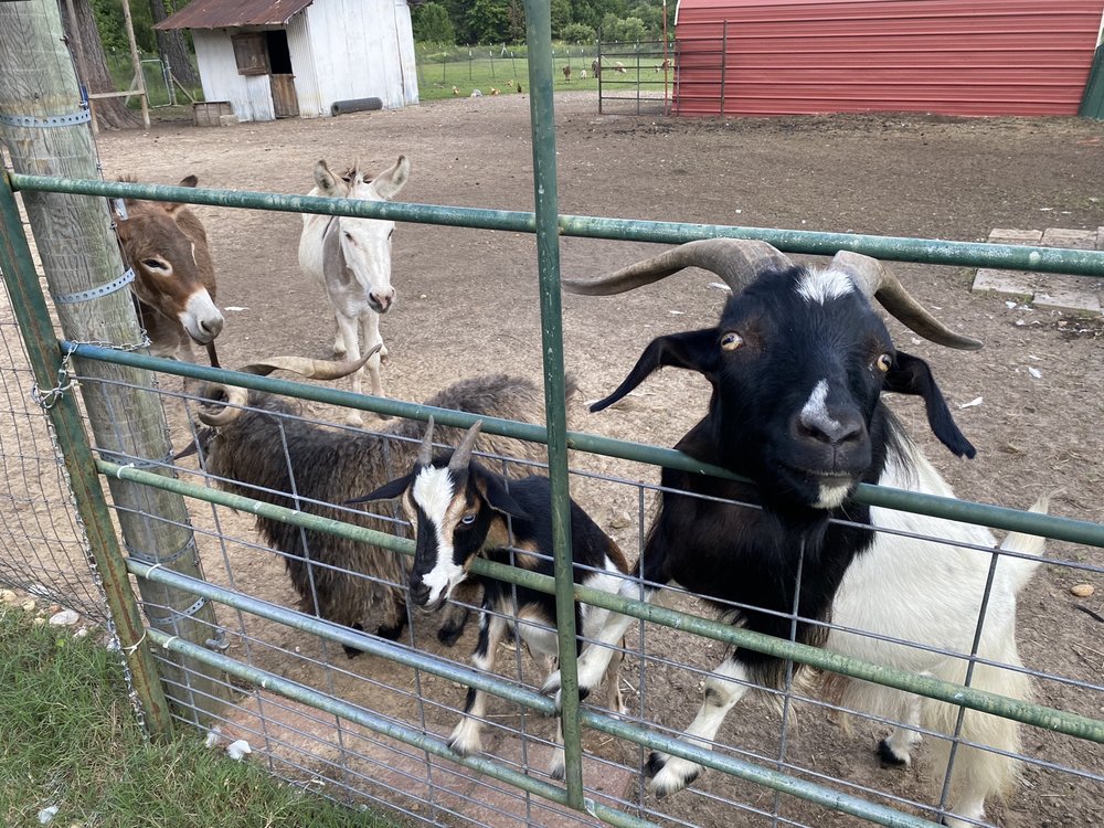 Chez Fur Fiber Farm Logo