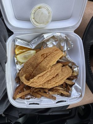 Huck's Catfish by null