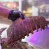 Cool Vibes Smoke & Flame gift card