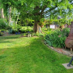 Lawn Matters