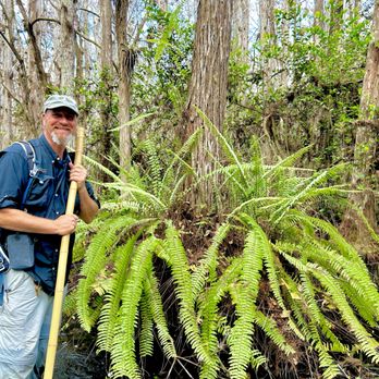 Big Cypress Gallery - Swamp tour, guide - Art Galleries Near Me - Ochopee, Florida