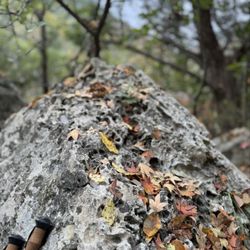 Lost Maples State Park - Hiking sticks and a fun rock