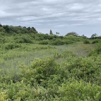 Vilano Beach Nature Boardwalk - Boardwalk view - Parks Near Me - St. Augustine, Florida