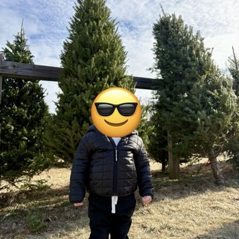 Trees For Less Nursery - Nurseries & Gardening Near Me - Mequon, Wisconsin