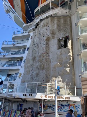 Royal Caribbean by null