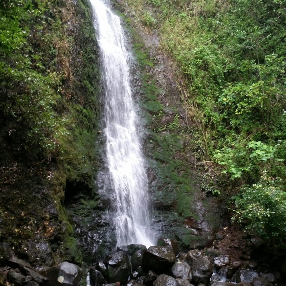 Lulumahu Falls - Gorgeous. - Hiking Near Me - Honolulu, Hawaii Lulumahu Falls - Gorgeous. - Hiking Near Me - Honolulu, Hawaii