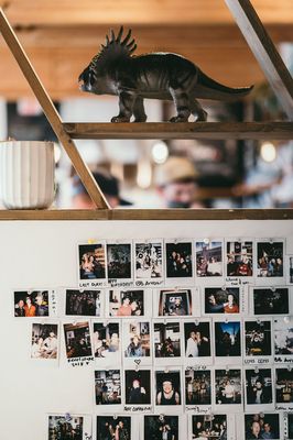 Dose Coffee by null