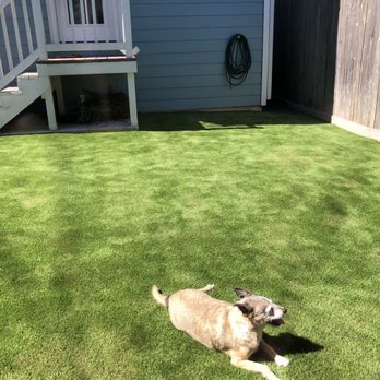 Number One Turf - Artificial Turf Near Me - Houston, Texas