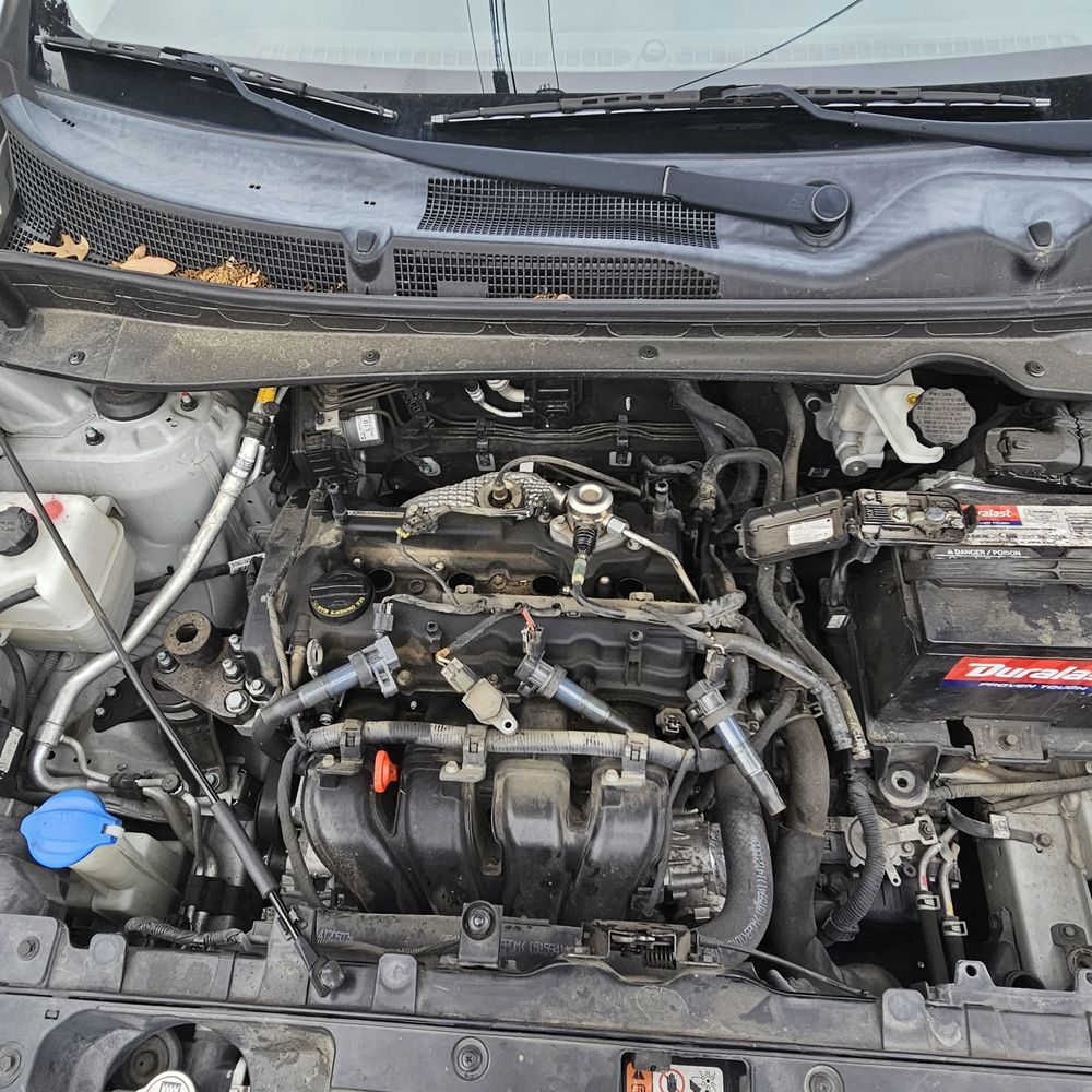 Napoli Indoor Kia - all the parts are taken out, - Auto Repair Near Me - Milford, Connecticut Napoli Indoor Kia - all the parts are taken out, - Auto Repair Near Me - Milford, Connecticut