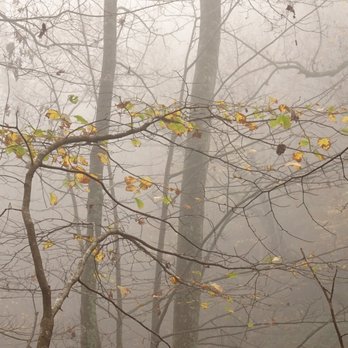 White Oak Canyon Trail - Hiking Near Me - Syria, Virginia
