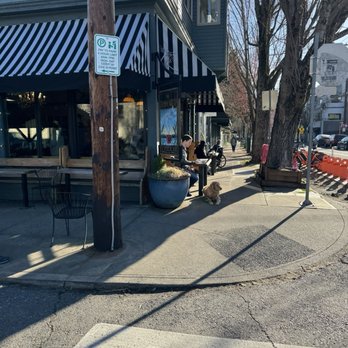 The Dragonfly Coffee House - Coffee & Tea Near Me - Portland, Oregon