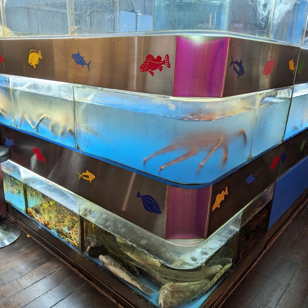 New Mulan Seafood Restaurant - Fish tanks - Dim Sum Near Me - Flushing, New York New Mulan Seafood Restaurant - Fish tanks - Dim Sum Near Me - Flushing, New York