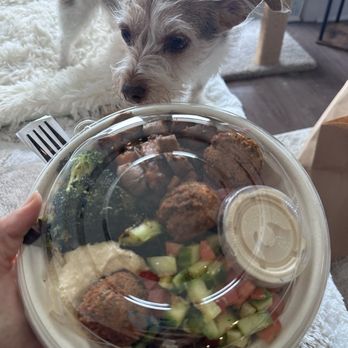 Packin' Bowls - Falafel & Tahini - Mediterranean Near Me - Dallas, Texas Packin' Bowls - Falafel & Tahini - Mediterranean Near Me - Dallas, Texas