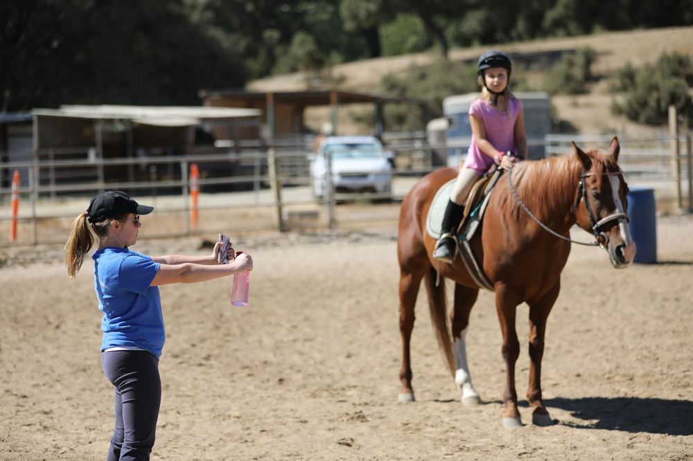 Tara Parcella Horseback Riding Instructor - equestrian in Los Gatos, CA
