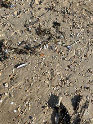Keansburg Beach by null