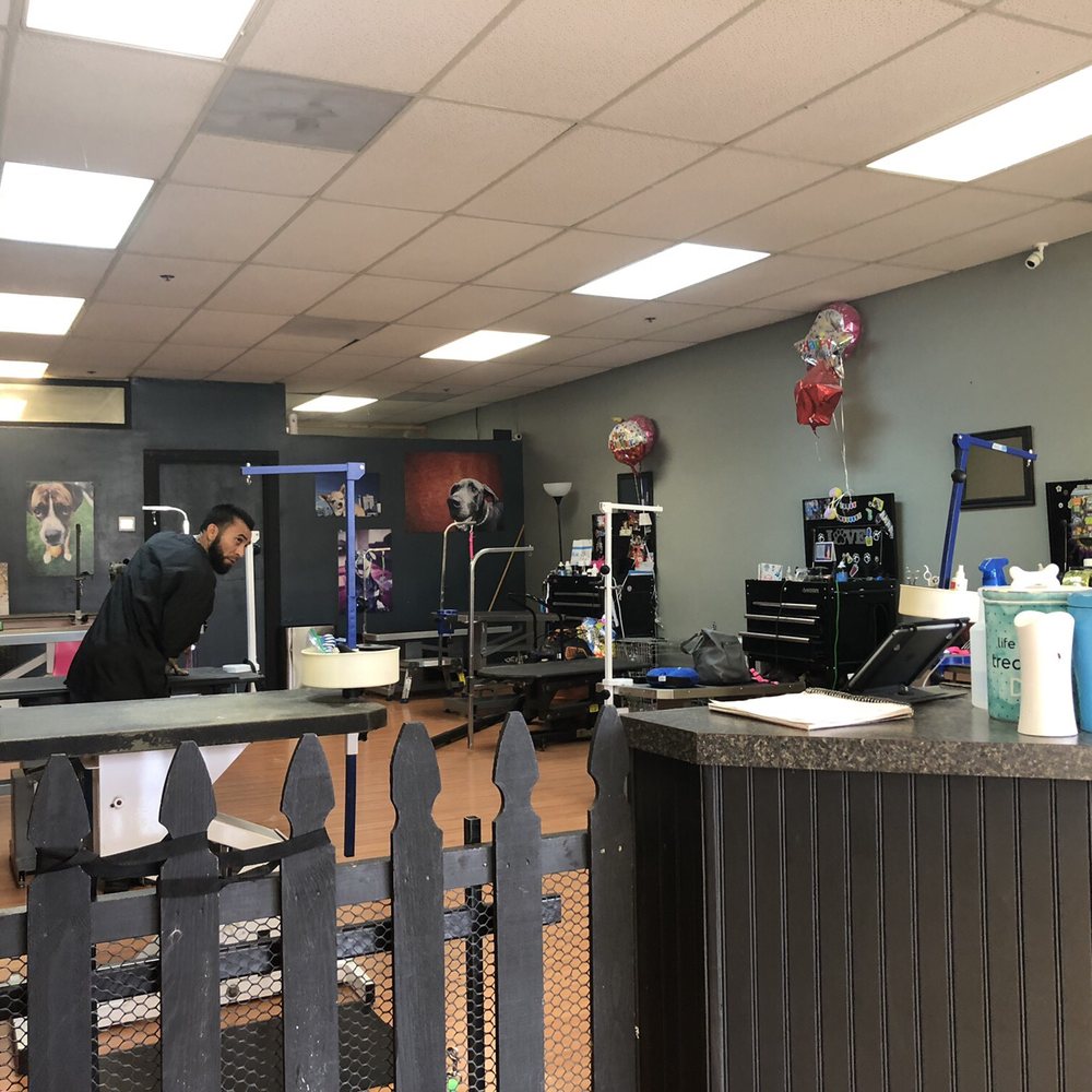 Mudpuppies Grooming - It's spa day for a Rex pic! - Pet Groomers Near Me - Oak Grove, Oregon