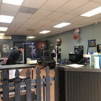 Mudpuppies Grooming - It's spa day for a Rex pic! - Pet Groomers Near Me - Oak Grove, Oregon Mudpuppies Grooming - It's spa day for a Rex pic! - Pet Groomers Near Me - Oak Grove, Oregon