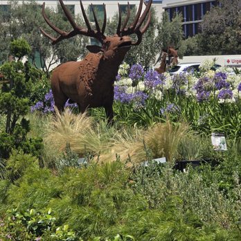 Moon Valley Nurseries - Tree Services Near Me - Irvine, California