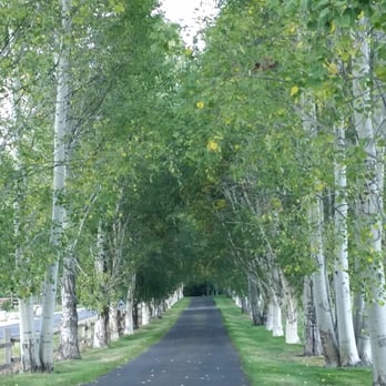 Abendblume - Entrance - Hotels Near Me - Leavenworth, Washington