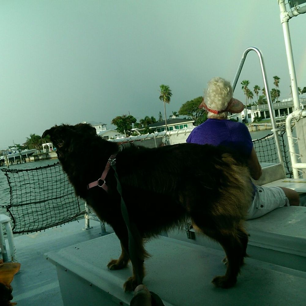 My two furbabies enjoying the breeze. My two furbabies enjoying the breeze.