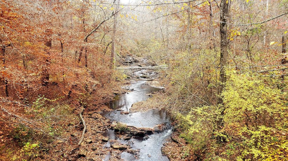 Cascades & Mill Road Trail Logo