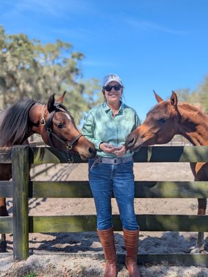 Farm Tours of Ocala by null