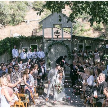 Carrie Vines Photography - Photographers Near Me