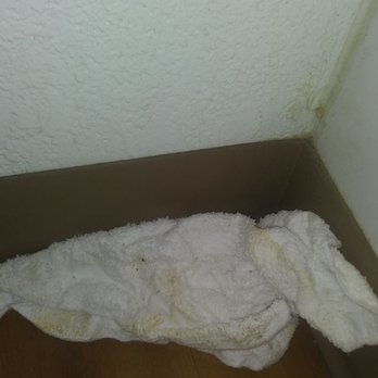 Motel 6 - Crusty Puke Towel - Hotels Near Me - Prescott, Arizona Motel 6 - Crusty Puke Towel - Hotels Near Me - Prescott, Arizona