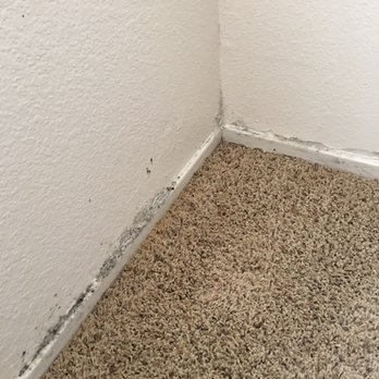 Pine Tree Apartments 19 Reviews Apartments 47 Cobblestone Dr